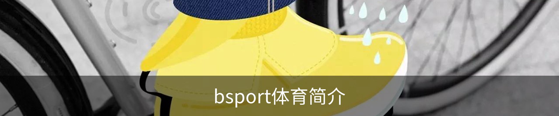 bsport体育简介
